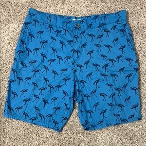 Blue Flamingo Print Men's Shorts